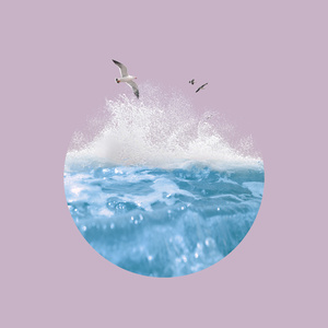 欧美xxxx在线观看
