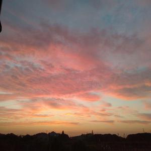 欧美xxxx在线观看
