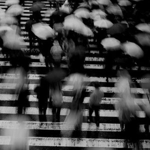 欧美xxxx在线观看
